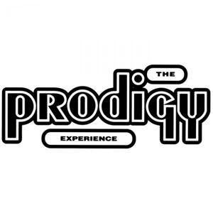 The Prodigy, Experience, CD