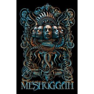 Meshuggah 5 Faces