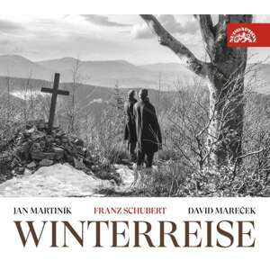 MARTINIK JAN, MARECEK DAVID WINTERREISE, CD