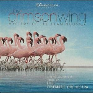 CINEMATIC ORCHESTRA - CRIMSON WINGMASTE, CD