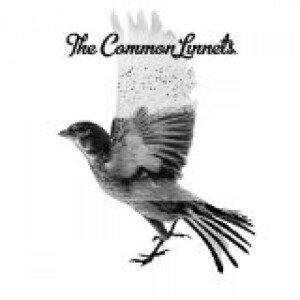 THE COMMON LINNETS - THE COMMON LINNETS, CD