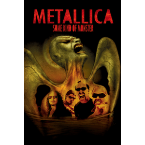 Metallica, Some Kind Of Monster, DVD