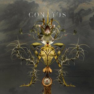 BEVING JOEP - CONATUS, Vinyl