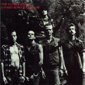 FLESH EATERS - HARD ROAD TO FOLLOW, CD