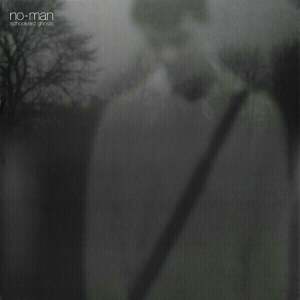 No-Man - Schoolyard Ghosts (2 LP)