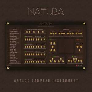 New Nation Natura - Analog Sampled Instrument (Digitálny produkt)
