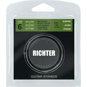 Richter Ion Coated Electric Guitar Strings - 010-060