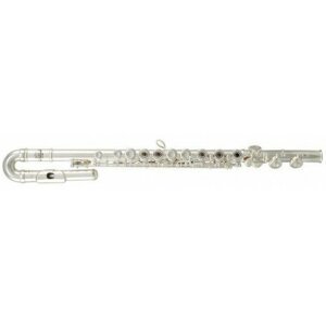 Roy Benson FL-402R2 Koncertná priečna flauta