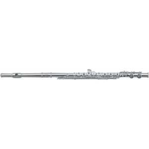 Roy Benson FL-602RE Koncertná priečna flauta
