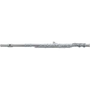 Roy Benson FL-602RI Koncertná priečna flauta