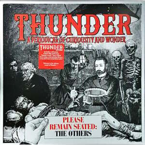 Thunder - RSD - Please Remain Seated - The Others (LP)