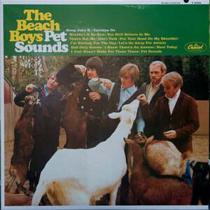 The Beach Boys - Pet Sounds (Mono) (200g) (45 RPM)