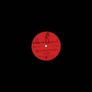Bill Callahan - Expanding Dub B/W Highs In The Mid-40's Dub (LP)