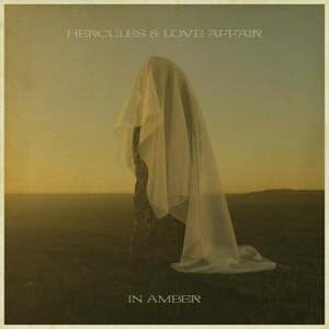 Hercules and Love Affair - In Amber (2 LP)