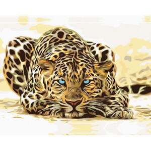 Zuty Striehnuci leopard