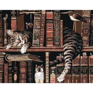 Zuty Mačka v knižnici
