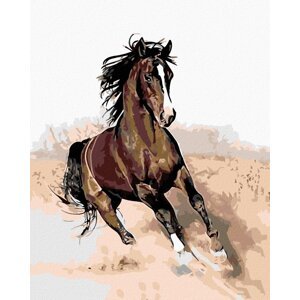 Zuty Hnedý kôň v piesku